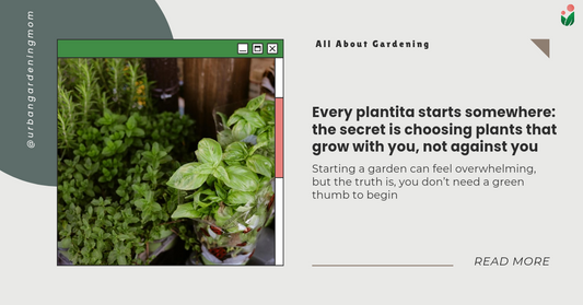 Every plantita starts somewhere: the secret is choosing plants that grow with you, not against you