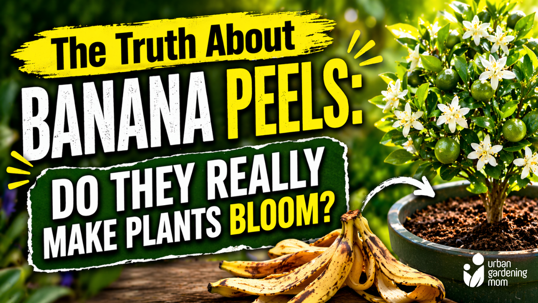 The Truth About Banana Peels: Do They Really Make Plants Bloom?