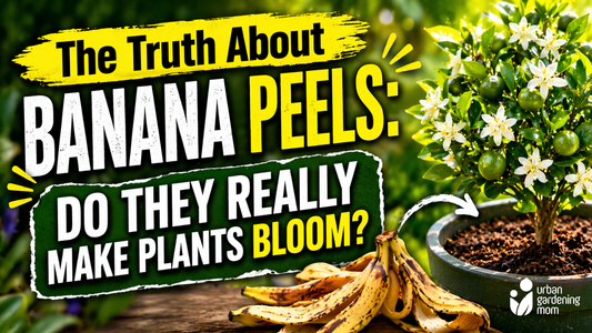 The Truth About Banana Peels: Do They Really Make Plants Bloom?