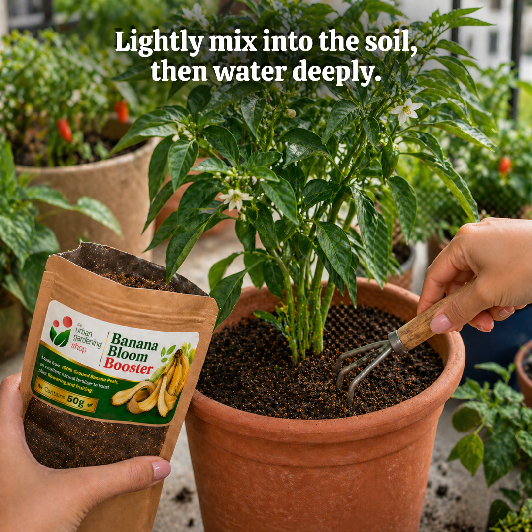 Ground Banana Peel Powder [Banana Bloom Booster + Banana Calcium Duo]  - An All- Natural Alternative to Chemical Fertilizer | A Natural Plant Booster - to Aid Plants in Flowering and Fruiting and for Root Strength 🌱