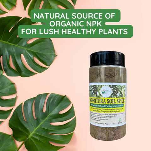 Monstera Soil Spice - All Natural Soil Additive and Plant Food for Monstera, Philodendron and other Tropical Houseplants