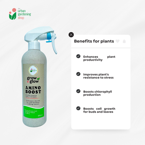 Amino Boost -  Ready-to-Spray Plant-based Solution for Greener and  Healthier Foliage -  For Home Gardening Use