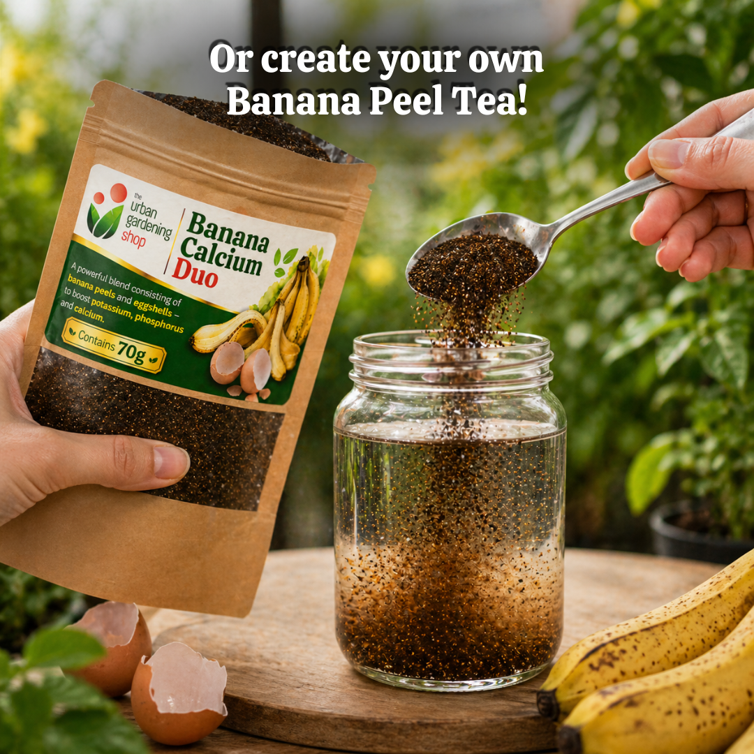 Ground Banana Peel Powder [Banana Bloom Booster + Banana Calcium Duo]  - An All- Natural Alternative to Chemical Fertilizer | A Natural Plant Booster - to Aid Plants in Flowering and Fruiting and for Root Strength 🌱