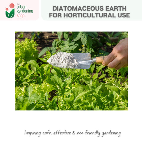 Diatomaceous Earth For Gardening Use