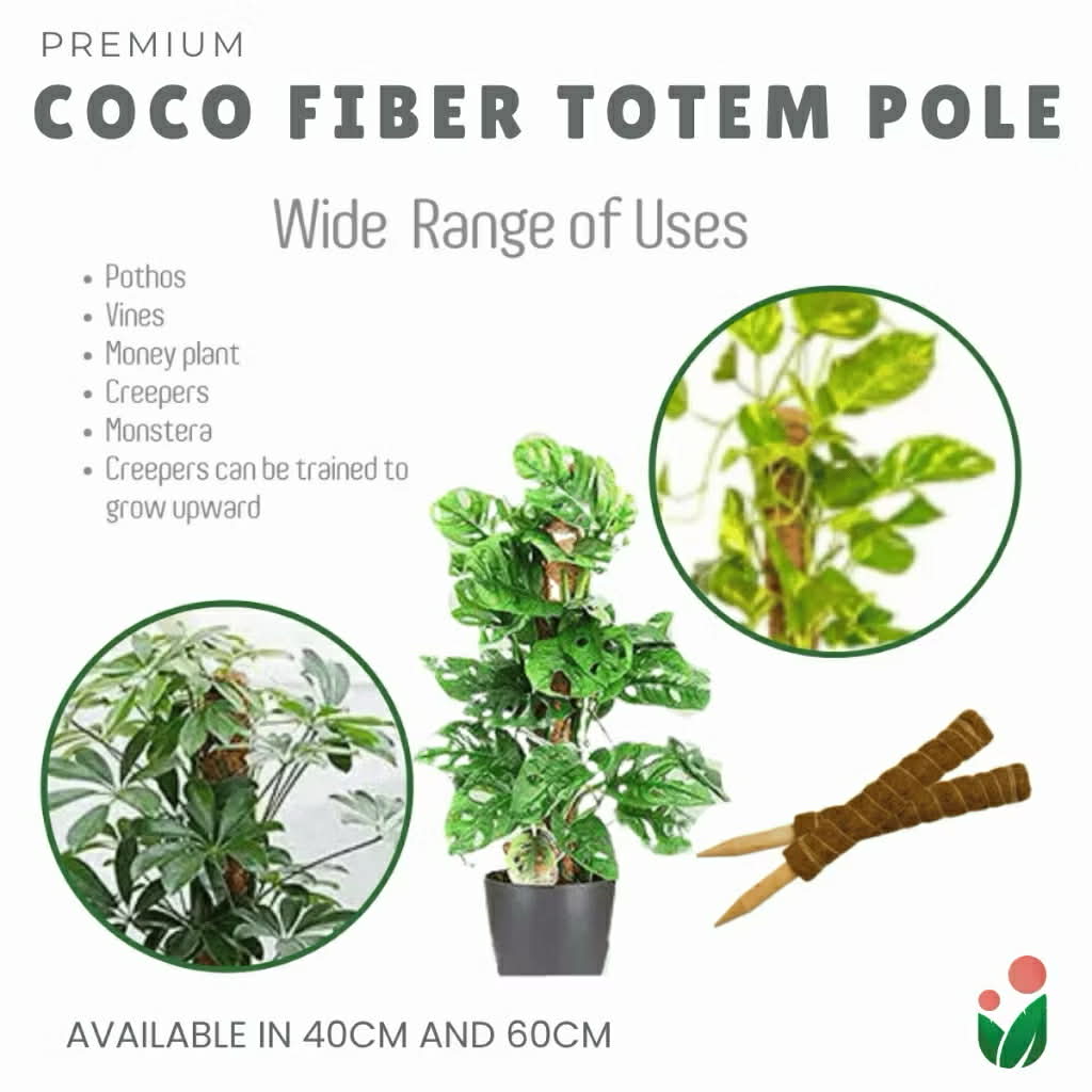 house plant totem pole Premium Coco Fiber Totem Moss Pole| Stackable Plant Support – Urban Gardening Mom
