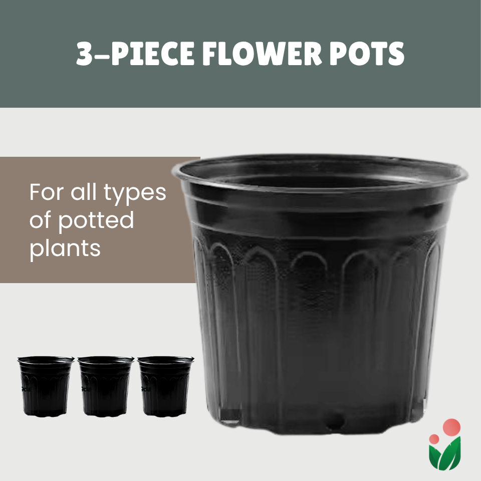 3-pcs Plastic Flower Pot (Includes 3 FREE Plant Saucers)