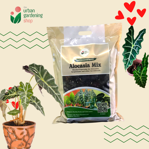 8-liter Anthurium Mix - Soilless Potting Mix For Potted Anthurium Plants