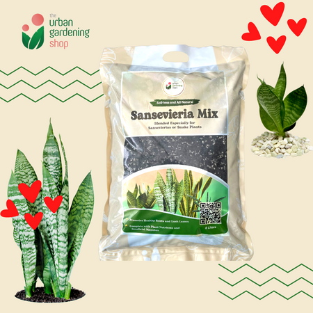 8-liter Sansevieria Mix - Soilless Potting For Potted Snake Plants