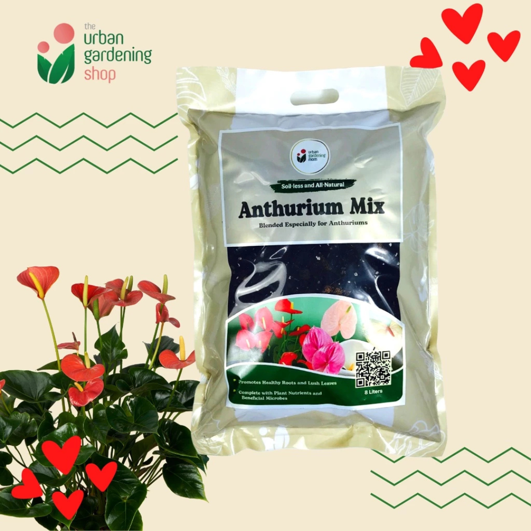8L Anthurium Soilless Potting Mix for Anthuriums