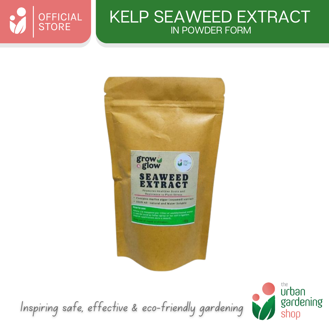 Seaweed Extract- All-Natural Revitalizer for Potting Mix and Garden Soils