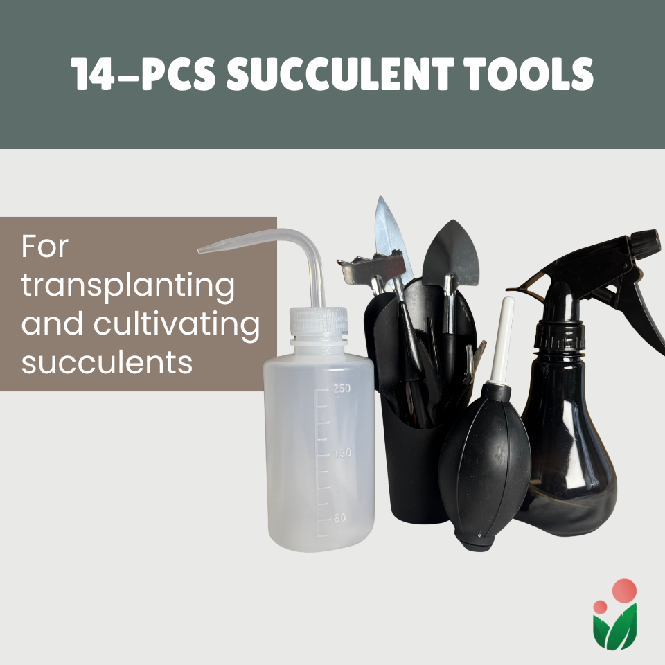 14- pcs Succulent Tools (Premium Black)