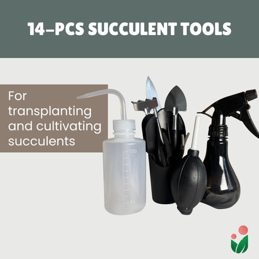 14- pcs Succulent Tools (Premium Black)