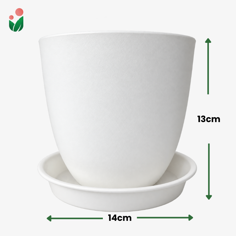 Classique Premium Plastic Plant Pot with Matching Catch Plate | Elegant Matte Textured Planter for Home Decor & Gardening | White or Black | 14cm, 18cm & 20cm