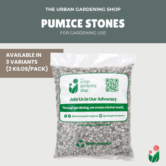 Pumice Stones 2kg for Gardening – Natural Porous Rocks for Fast Draining Potting Mix, Promotes Better Drainage, Root Aeration, Cactus, Succulent, Aroid, Orchid & Bonsai Plants