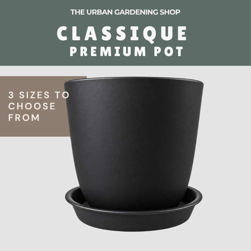 Classique Premium Plastic Plant Pot with Matching Catch Plate | Elegant Matte Textured Planter for Home Decor & Gardening | White or Black | 14cm, 18cm & 20cm