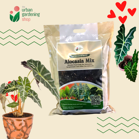 8-Liter Alocasia Mix - Soilless Potting For Alocasias and Arrowheads