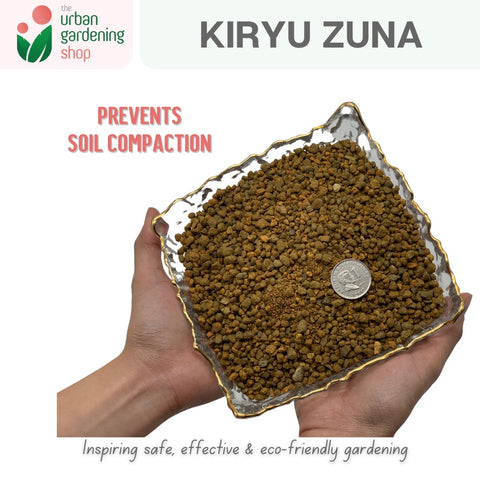 Kiryu Zuna Ideal Substrate For Bonsai And Succulents