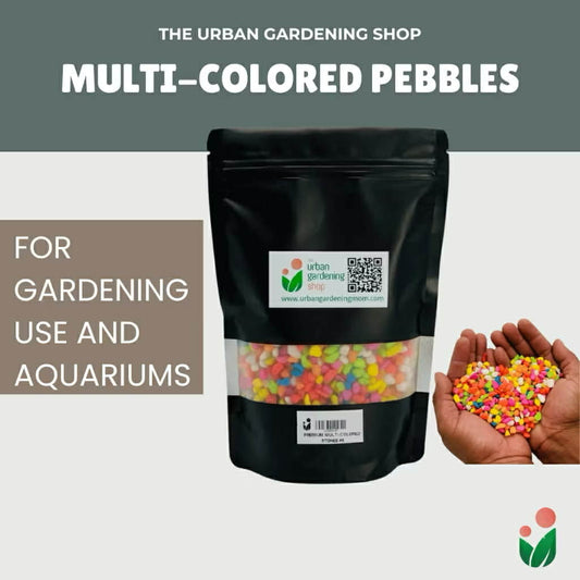 Premium Multicolored Pebbles|  Ideal as Decorative Topping or Filling For Gardening and Aquariums  1kilo
