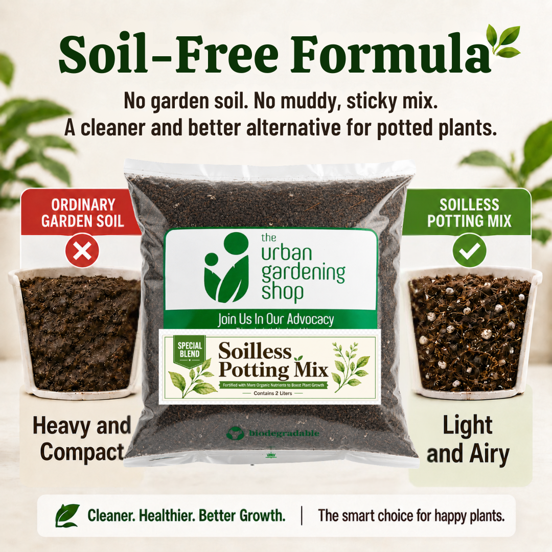 All-Purpose Soilless Potting Mix [Fortified Premium Mix]