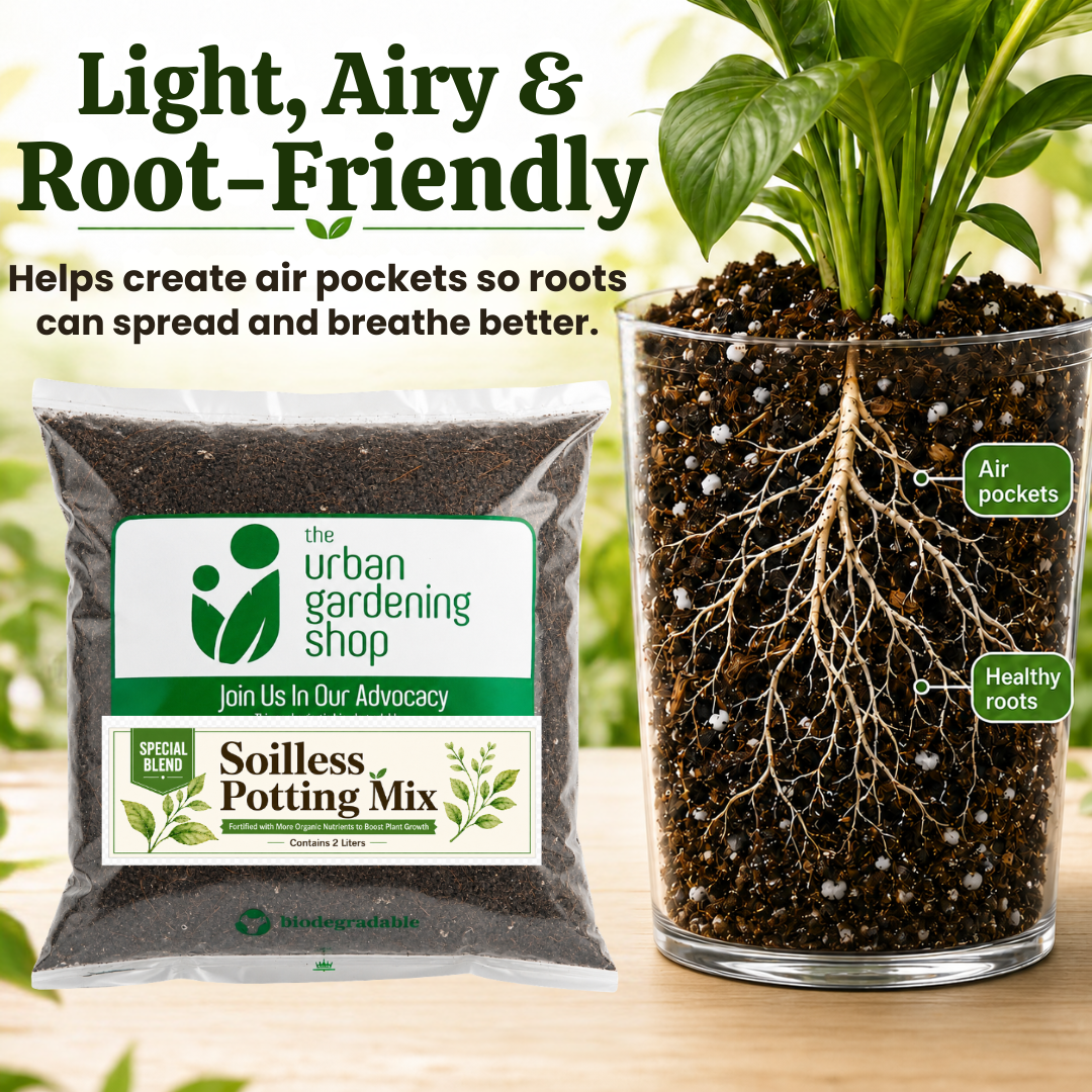 All-Purpose Soilless Potting Mix [Fortified Premium Mix]