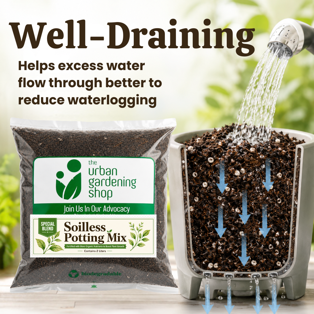 All-Purpose Soilless Potting Mix [Fortified Premium Mix]