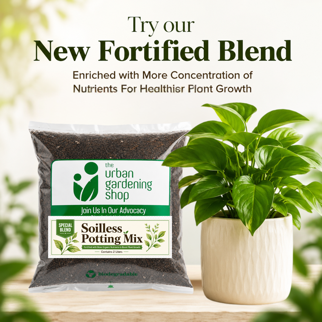 All-Purpose Soilless Potting Mix [Fortified Premium Mix]