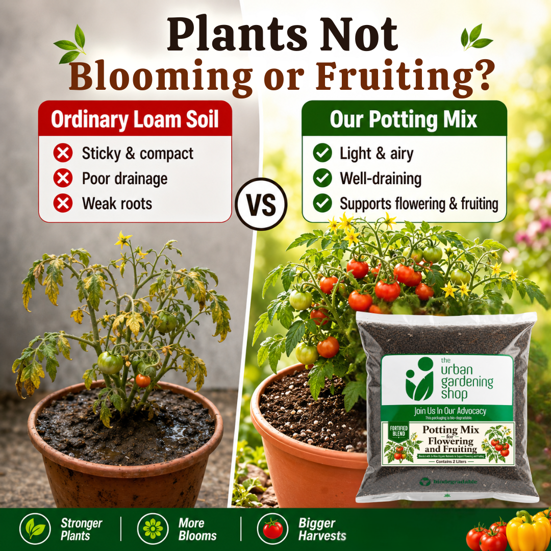 Soilless Potting Mix [Fortified Mix] For Flowering and Fruiting
