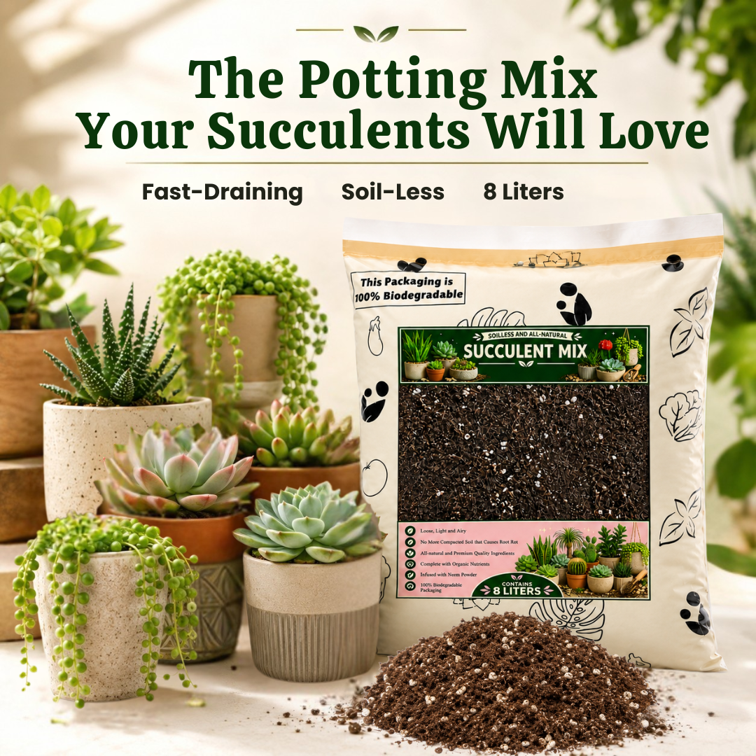 8-liter PREMIUM SUCCULENT POTTING MIX - High Quality Soilless Media for Cacti and Succulents
