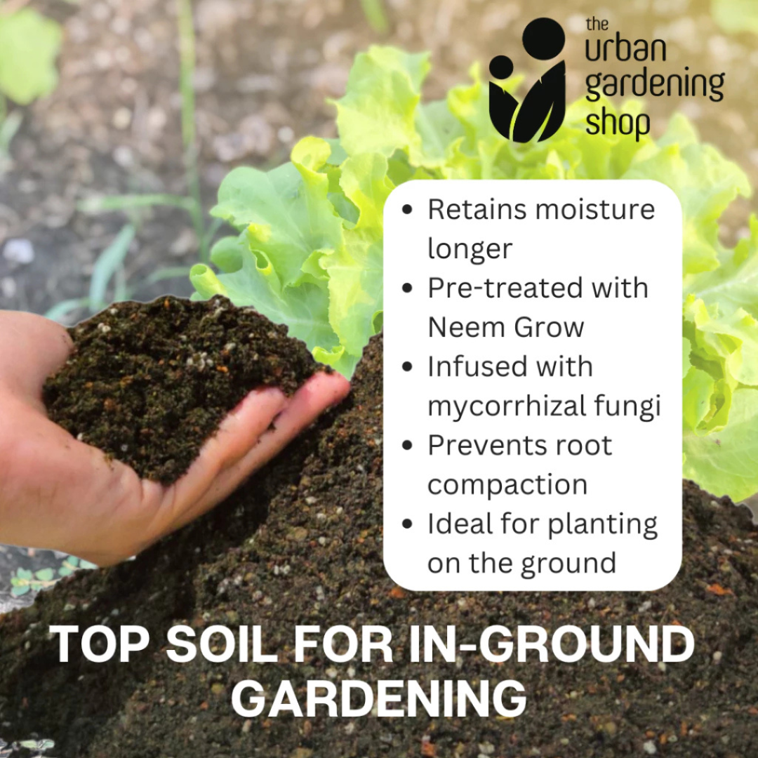 Garden Top Soil for In-ground Gardening