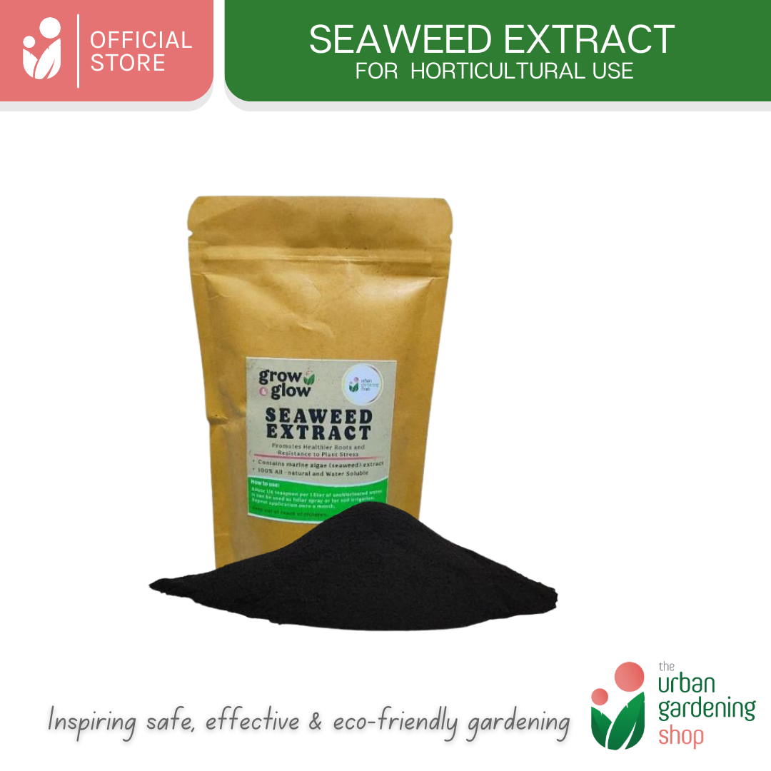 Seaweed Extract- All-Natural Revitalizer for Potting Mix and Garden Soils