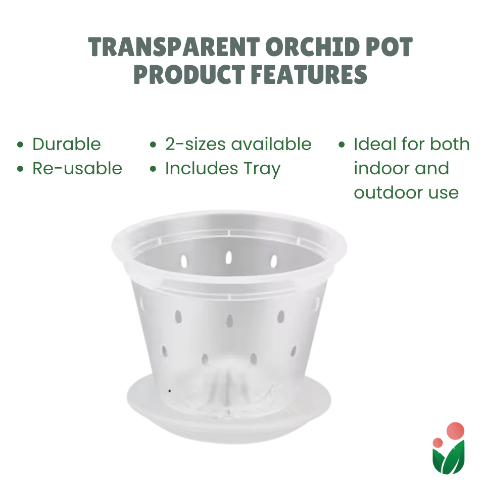 Breathable and Transparent Orchid Pot with Catch Plate