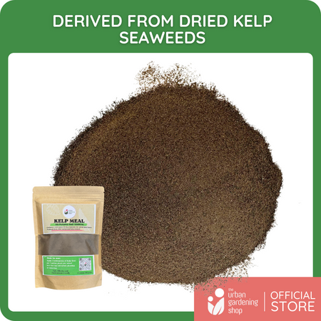 Kelp Meal - All-Natural Garden Soil Additive Derived from Kelp Seaweeds