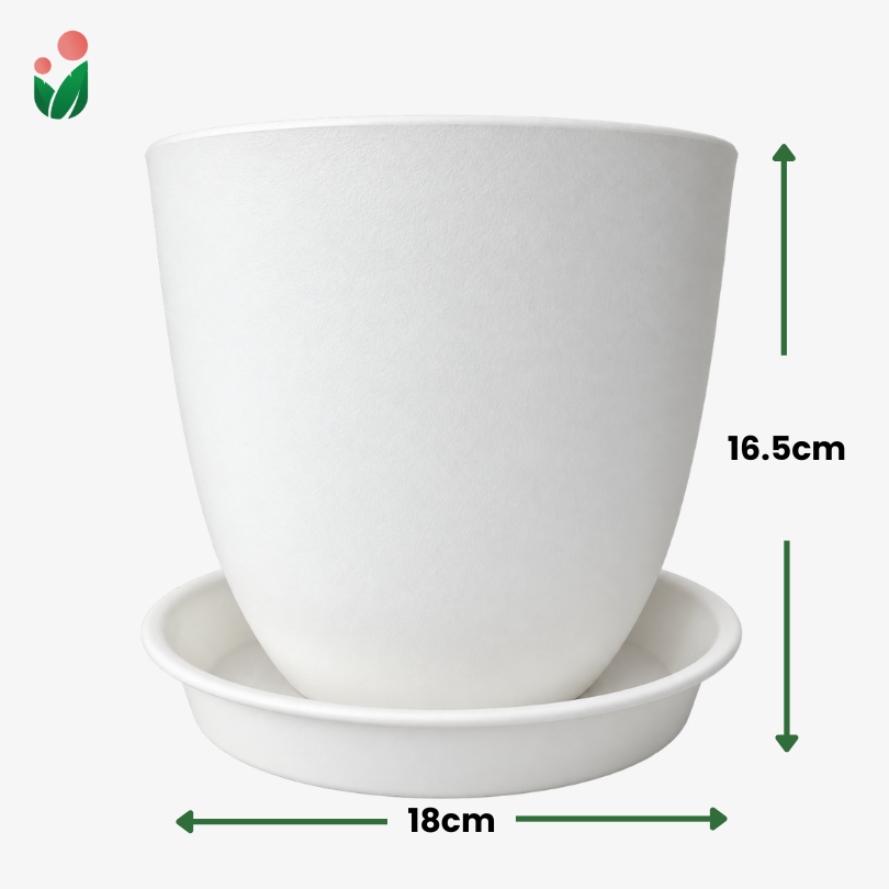 Classique Premium Plastic Plant Pot with Matching Catch Plate | Elegant Matte Textured Planter for Home Decor & Gardening | White or Black | 14cm, 18cm & 20cm