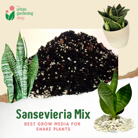 8-liter Sansevieria Mix - Soilless Potting For Potted Snake Plants