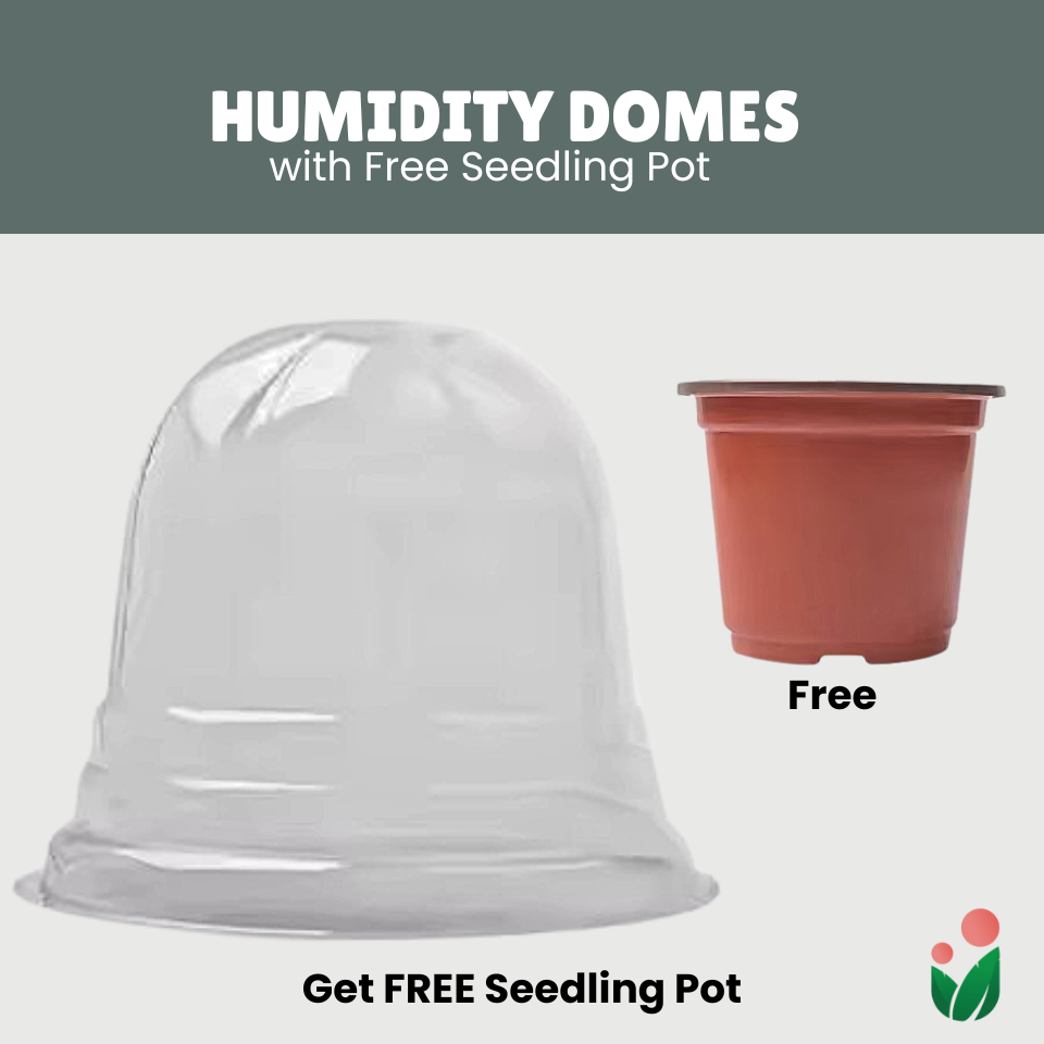 Seedling Humidity Domes with FREE Plant Starting Pots