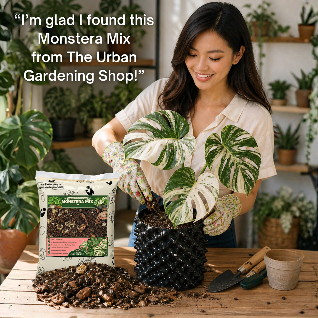 8L Monstera Soilless Potting Mix