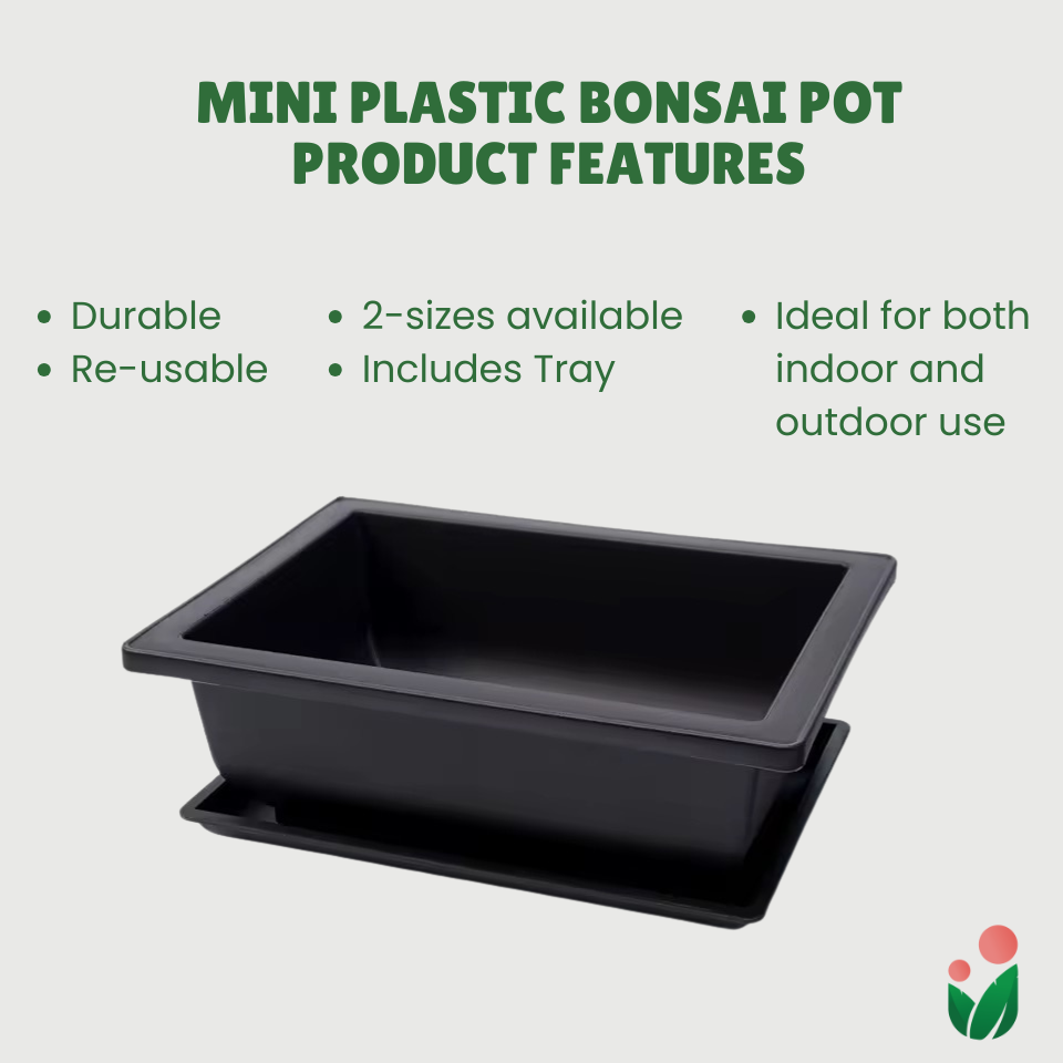 Rectangular Bonsai Pot with Catch Plate (Plastic)