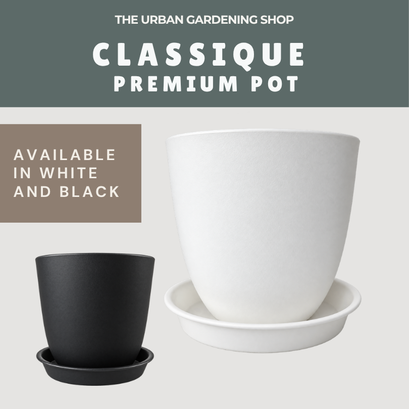 Classique Premium Plastic Plant Pot with Matching Catch Plate | Elegant Matte Textured Planter for Home Decor & Gardening | White or Black | 14cm, 18cm & 20cm