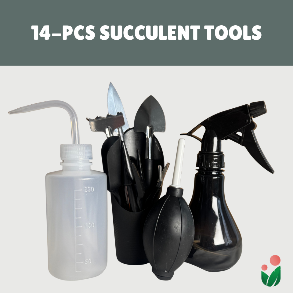 14- pcs Succulent Tools (Premium Black)