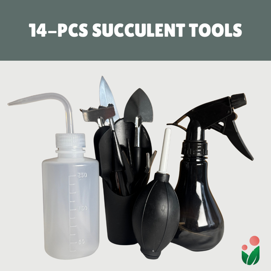 14- pcs Succulent Tools (Premium Black)