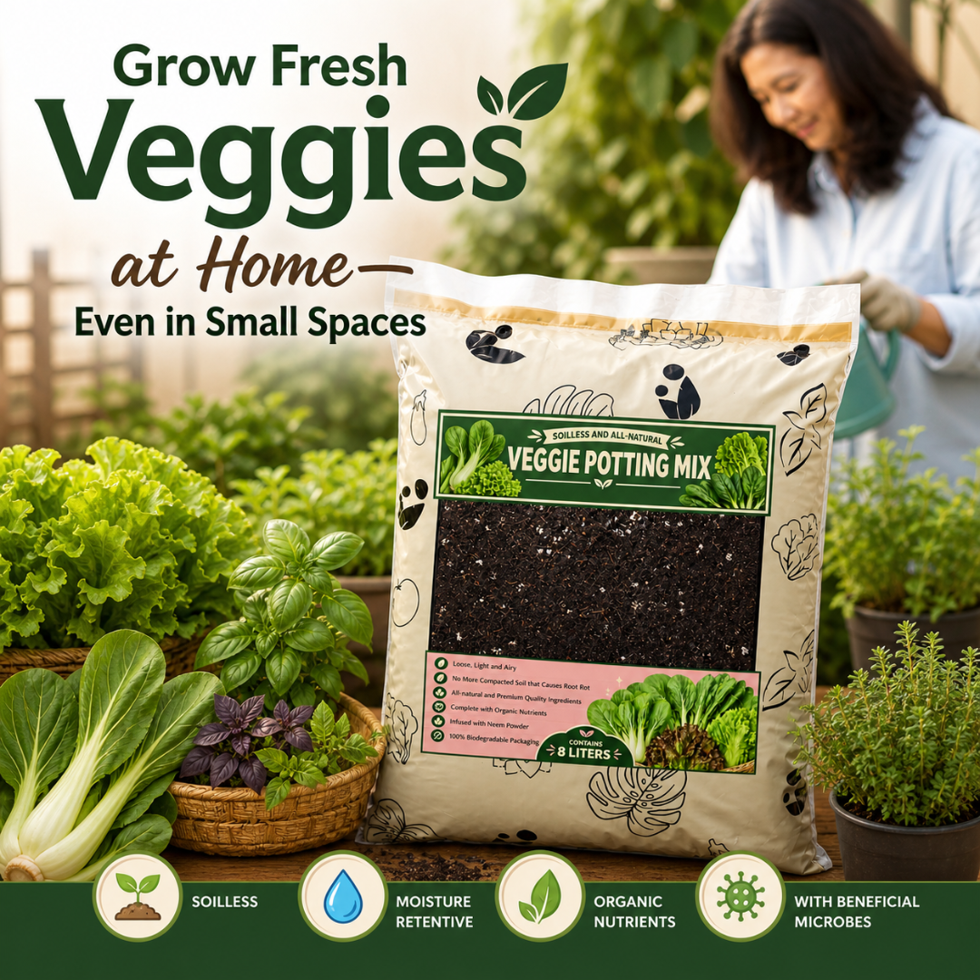 8L Veggie Soilless Potting Mix| For Leafy Greens & Herbs, Light Airy Grow Medium, Moisture Retentive, pH Balanced, Infused with Beneficial Microbes for Lettuce, Basil, Pechay, Kangkong & Home Gardening