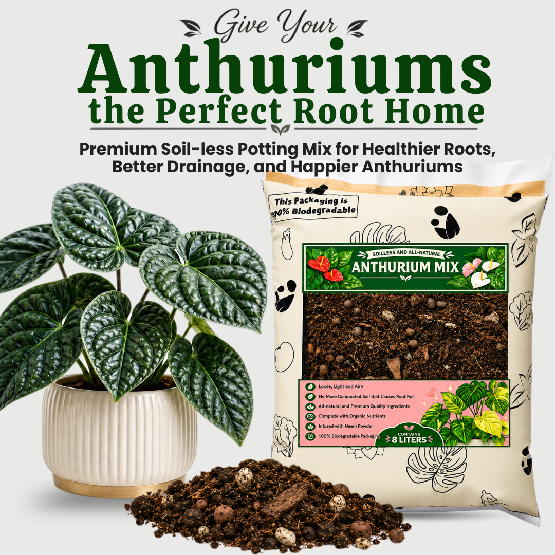 Anthurium Soilless Potting Mix 8L | Premium Airy Chunky Well Draining Growing Media with Peat Moss, Coco Chunks, Pine Bark, Perlite, Pumice, Neem and Beneficial Microbes| Soilless Media for Anthurium, Aroids & Houseplants