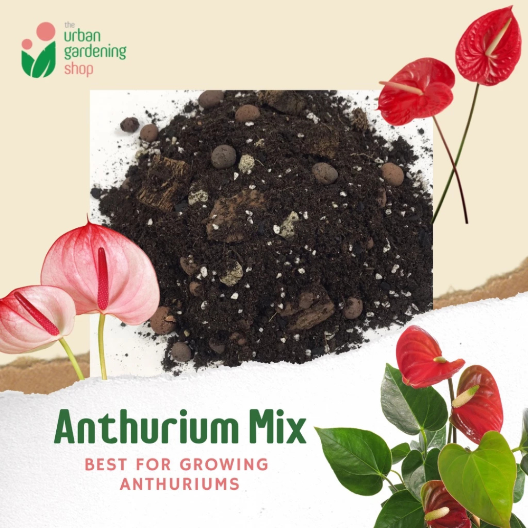 8L Anthurium Soilless Potting Mix for Anthuriums