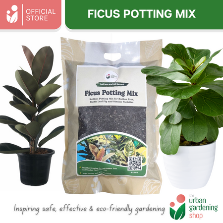 8-Liter Ficus Mix  - Soilless Potting Mix for Ficus (Rubber Plants)