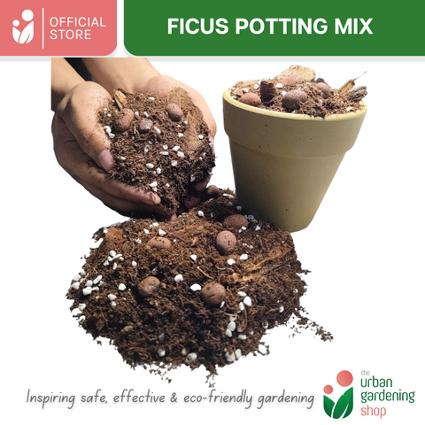 8-Liter Ficus Mix  - Soilless Potting Mix for Ficus (Rubber Plants)