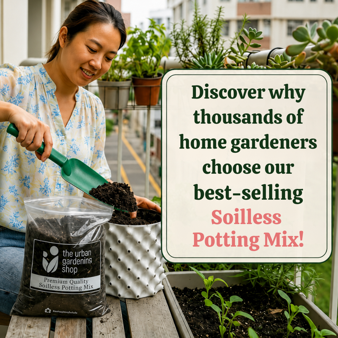 All-Purpose Soilless Potting Mix [Fortified Premium Mix]