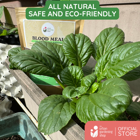 Blood Meal - An All Natural Soil Additive Derived from Livestock Blood which contains a rich source of natural macro and micronutrients beneficial for most garden plants