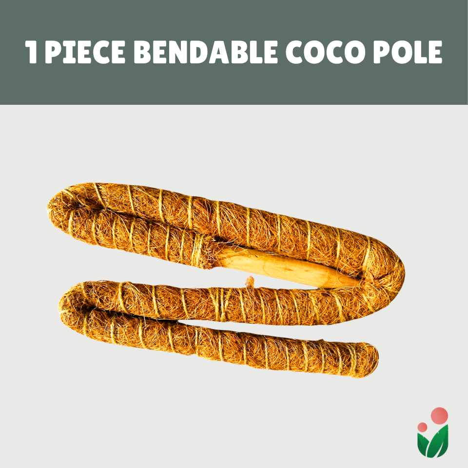 Premium 48" Bendable Coco Poles For Plant Support