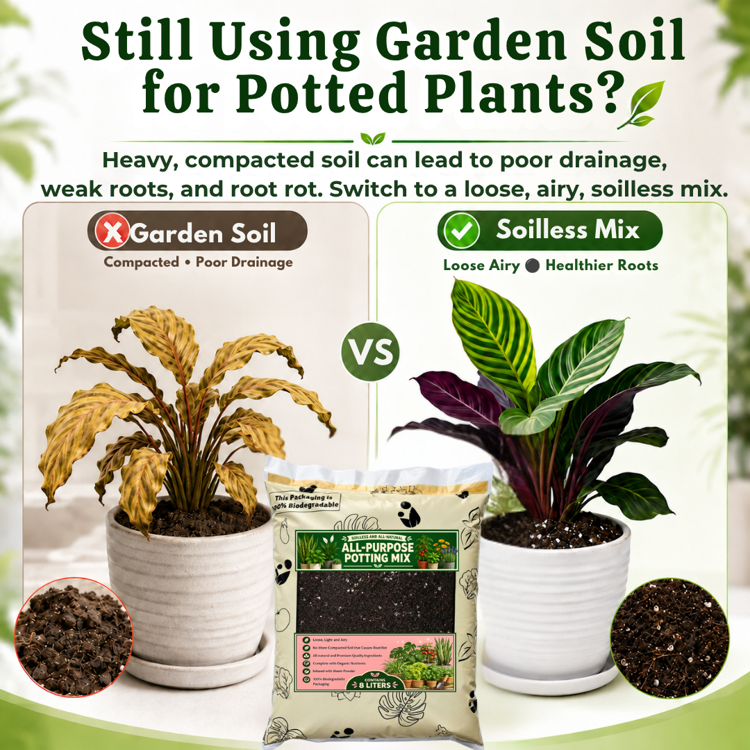 can i use all purpose garden soil for indoor plants PREMIUM 8-liter All- Purpose Soil-less Potting Mix – Urban Gardening Mom