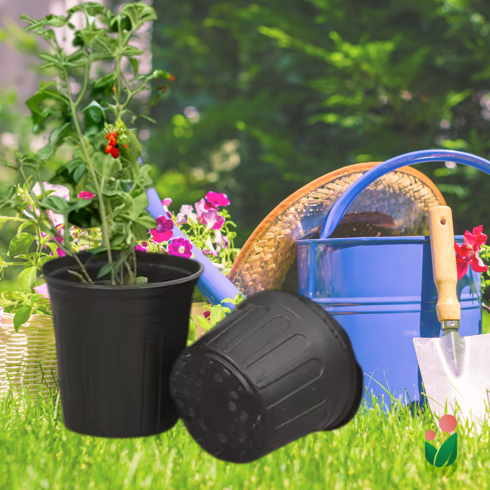 3-pcs Plastic Flower Pot (Includes 3 FREE Plant Saucers)